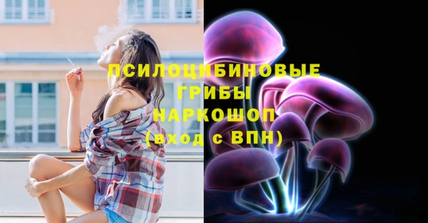 тгк Магадан