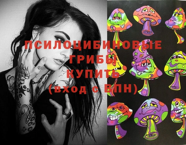 стаф Болхов