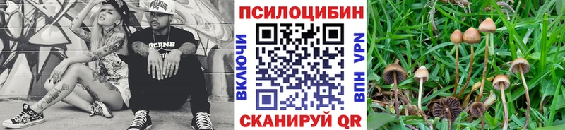 МЕГА ссылка где купить наркоту Семикаракорск Псилоцибиновые грибы мухоморы